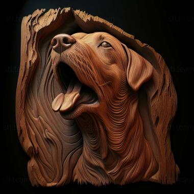 3D модель Коса собака (STL)